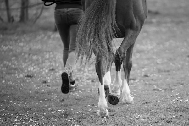 Fer'air fers plastiques durables