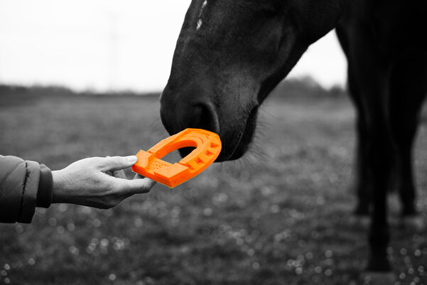 Fer'air respect cheval et environnement