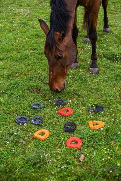 Modèles fers plastiques Fer'air adpaté pathologie cheval