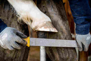 Pose Fer'air - parage