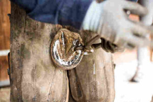 Pose Fer'air - parage