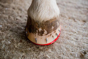 Pose fer'air - brochage terminé