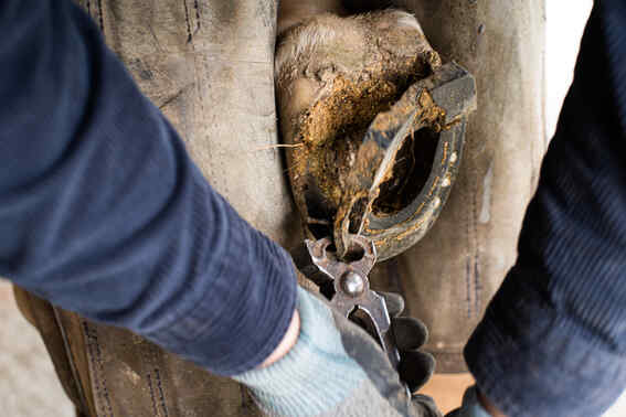 Pose fer'air - déferrer