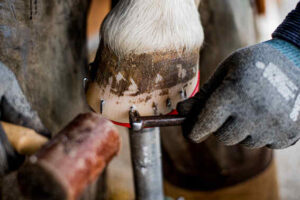 Pose fer'air - dégorger