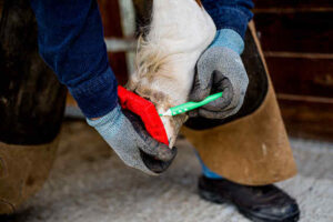 Pose fer'air - marquer