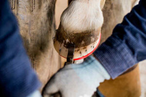 Pose fer'air - river