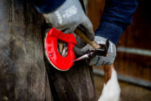 Pose fer'air - serrer clous